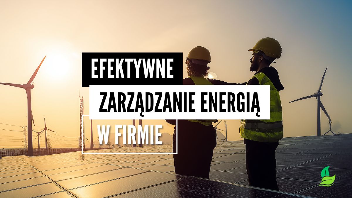 efektywne zarządzanie energią system ZIZE system ems smart home